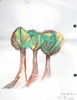 paysages (9).jpg